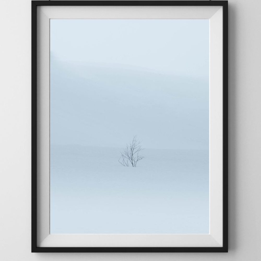 Minimal Collection | The Tree