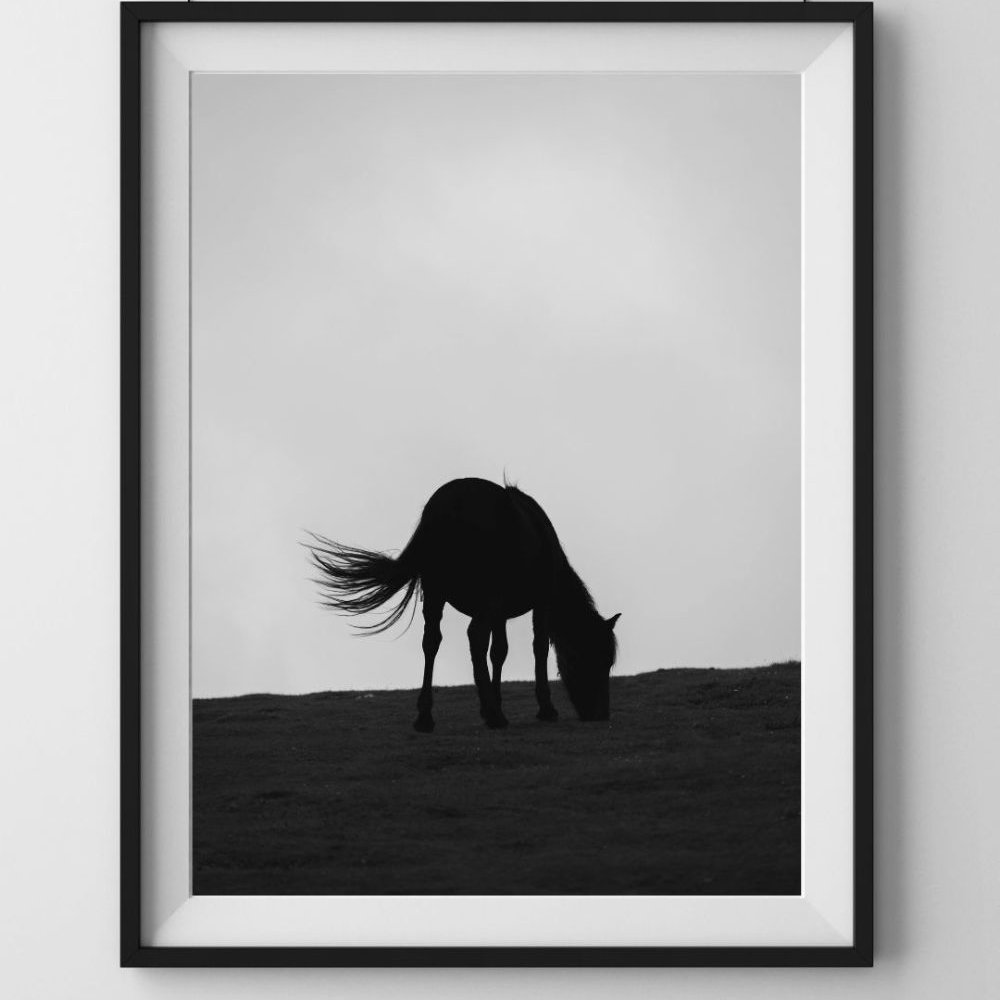 Pays Basque | Black Horse