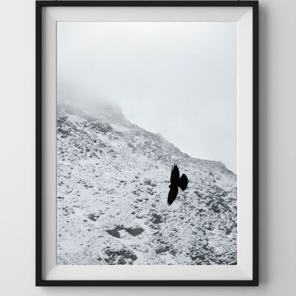 Minimal Collection | The Bird
