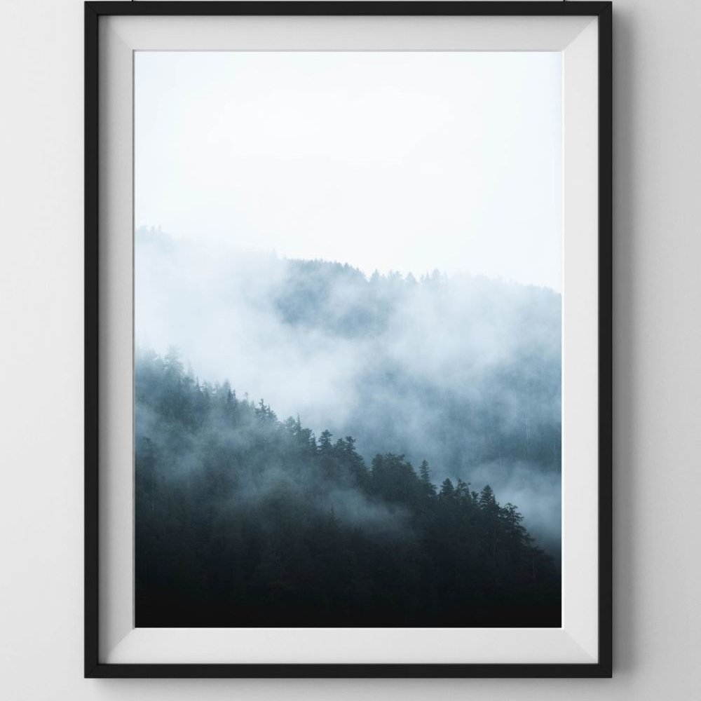 Minimal Collection | Forest